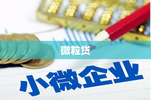 安乐微粒贷