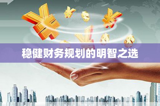 安乐稳健财务规划的明智之选