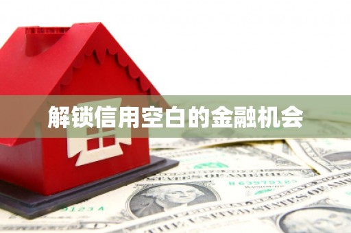 安乐解锁信用空白的金融机会