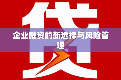 安乐企业融资的新选择与风险管理