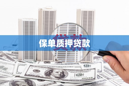 安乐保单质押贷款